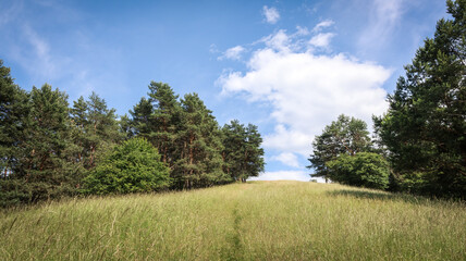 field and blue sky