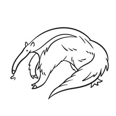 Giant Anteater wild animals vector illustration outlined isolated on square white background. Simple flat cartoon wildlife art styled drawing.