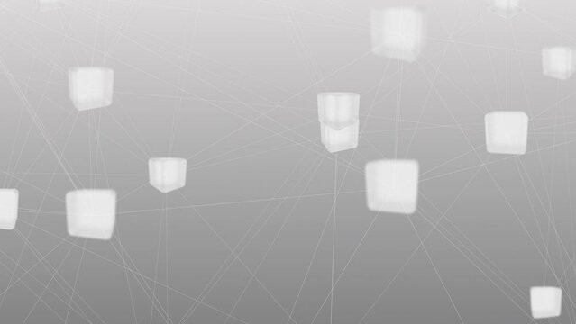 Connected network white lines and blocks 3d animation 4k
