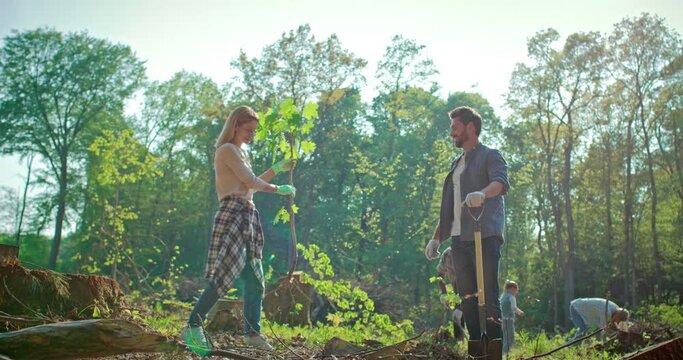 Pleasant teamwork cooperation. Joyful positive nice volunteers working together and planting trees. Community service nature for sustainable environment. Charity grace concept.