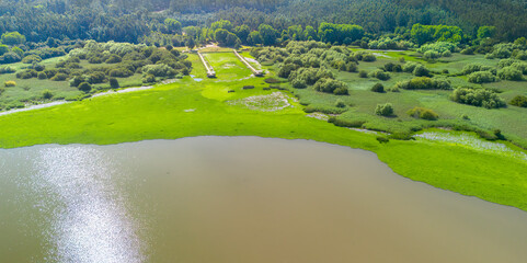 Plague of water hiacinth Eichhornia crassipes in a lake. Drone poin of view.