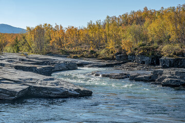 Autum Abisko Canyon River Abiskojakka National Park, Norrbottens, Norrbottens Lapland landscape north of Sweden