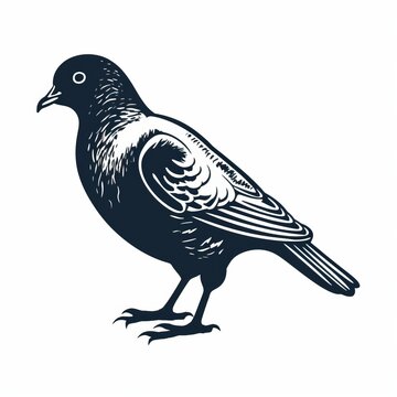 recommend clip art: Vintage Pigeon Illustration And Bold Robin Silhouette Design