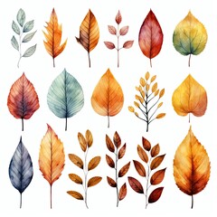 Obraz premium watercolor autumn leaves 