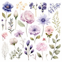watercolor of flowers