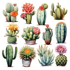 Rolgordijnen Cactus Watercolor vector set of cactus and succulent plants isolated on white background.