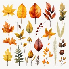 watercolor autumn leaves 