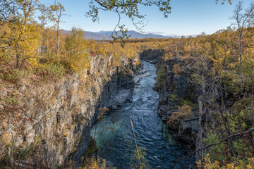 Autum Abisko Canyon River Abiskojakka National Park, Norrbottens, Norrbottens Lapland landscape north of Sweden