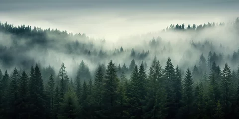 Zelfklevend Fotobehang Mistig bos AI Generated. AI Generative. Adventure outdoor nature mist fog clouds forest trees landscape background wild explore. Graphic Art