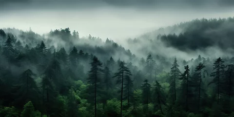 Papier Peint photo Forêt dans le brouillard AI Generated. AI Generative. Adventure outdoor nature mist fog clouds forest trees landscape background wild explore. Graphic Art