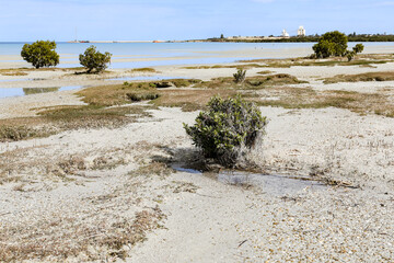 Scenic view of beach beneath cloudy blue sky