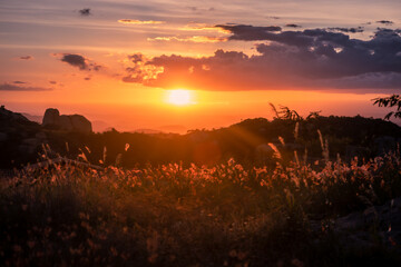 Fototapeta na wymiar Sunset landscape in farm