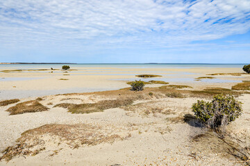 Scenic view of beach beneath cloudy blue sky