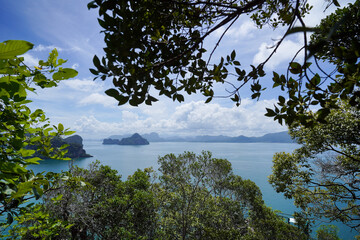 tree on island 
