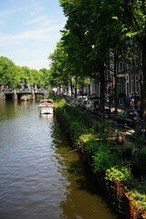 A picture clicked in Amsterdam