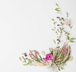 dried flowers on white background