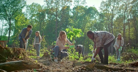 Climate change, tree gardening and ecology project for growth, global care of environment. Team of volunteers working outdoors, community service nature for sustainable environment.