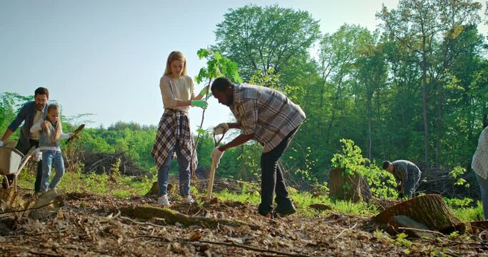Diverse team of environmental activists planting trees outside at forest and taking care of nature. Team of multicultural volunteers with shovels and planting plant in soil. Charity work concept.