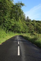 Fototapeta premium Country Road in rural County Leitrim, Ireland bordered by trees in foliage in summer evening sunlight