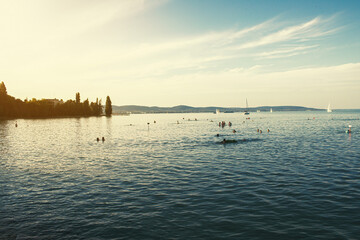Naklejka premium View of the Lake Balaton in the evening.Summer season.