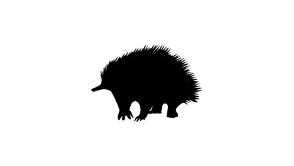 Echidna silhouette