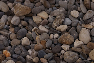 Dry pebbles beach closeup photo