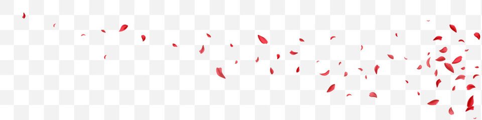 Beautiful Peach Beauty Vector Transparent