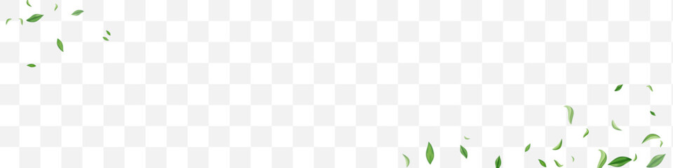 Grassy Greens Forest Vector Transparent Panoramic