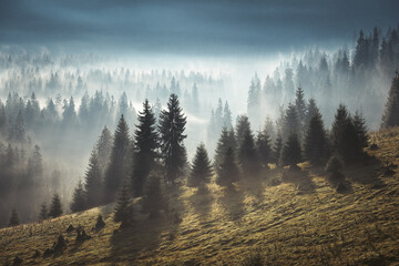 Foggy morning in Romania