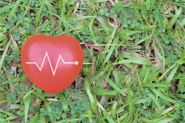 Red heart on the green grass. A healthy ecology for planet Earth, ensuring a prosperous future for our generation. Let's unite to save the world.