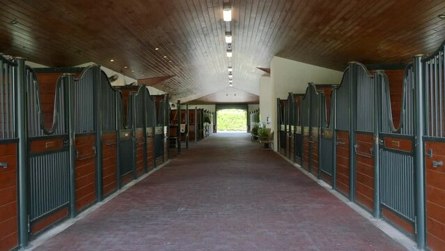 Empty modern stable with many separate stalls for keeping racehorses. Interior design of farm house with wooden and metal details inside