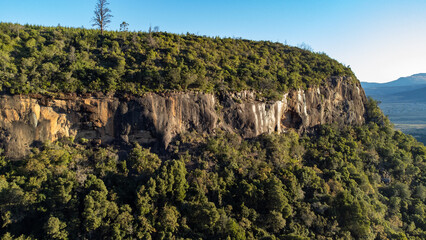 Fototapeta na wymiar Hogsback Mountain Forest, Alice Eastern Cape