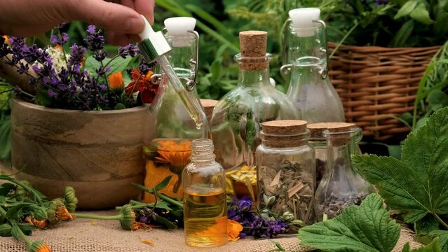 plant and herb tinctures and extracts. Selective focus.