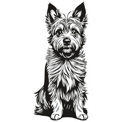 Cairn Terrier dog breed line drawing, clip art animal hand drawing vector black and white realistic pet silhouette