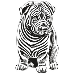 Chinese Shar Pei dog vector face drawing portrait, sketch vintage style transparent background realistic pet silhouette
