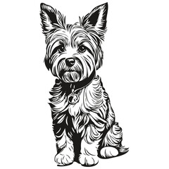 Dandie Dinmont Terriers dog outline pencil drawing artwork, black character on white background realistic pet silhouette