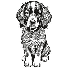 Spaniel English Cocker dog pencil hand drawing vector, outline illustration pet face logo black and white