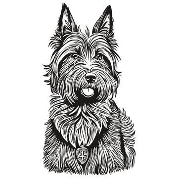 recommend clip art: Scottish Terrier dog t shirt print black and white, cute funny outline drawing vector sketch drawing