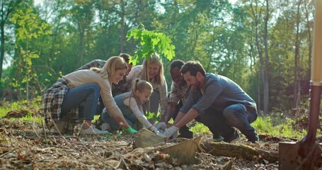 Diverse team of multicultural volunteers planting tree outdoors in forest. Eco-friendly activists working together and enjoy charity work outside. Concept of teamwork and cooperation.