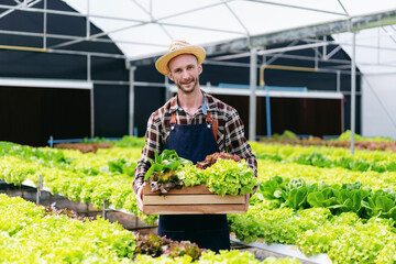 Obraz premium Agribusiness farmer and hydroponic farming concept, Man smiling