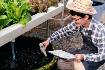 Agribusiness farmer and hydroponic farming concept, Man using pH meter to testing and control water system of hydroponics farm for salad vegetables plantation in greenhouse