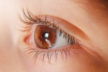 Close up shot of brown child eyes - Powered by Adobe