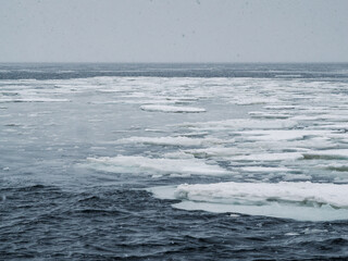 Landscape photography of arctic ocean. Drift and brash ice forming and floating on the surface of...