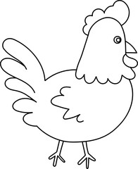 chicken