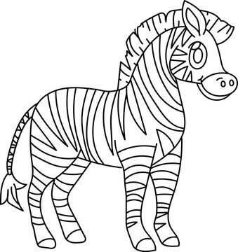 Zebra