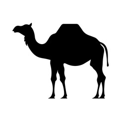 camel silhouette illustration 