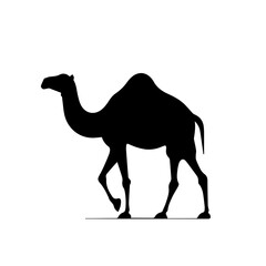 camel silhouette illustration 