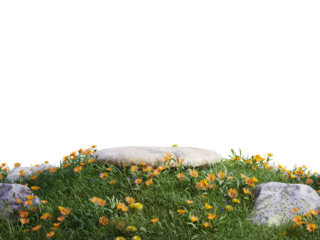 Rock platform in tropical forest for product presentation and green wall.