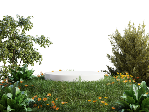 White podium in meadow for product presentation and on dark green wall background.