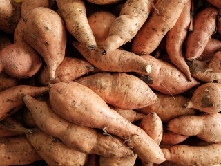 Raw ripe potato being sold at the local street market